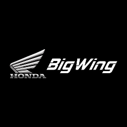 BIG WING