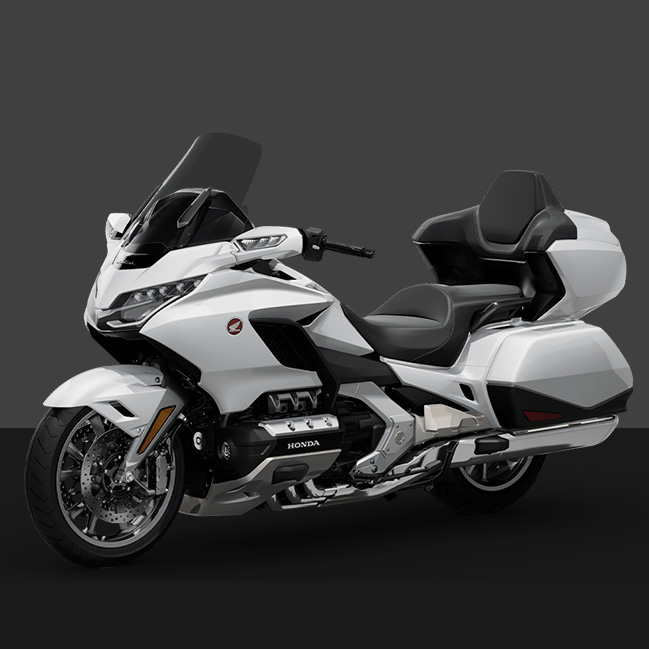 GOLD WING