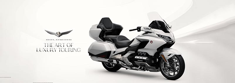 GOLD WING