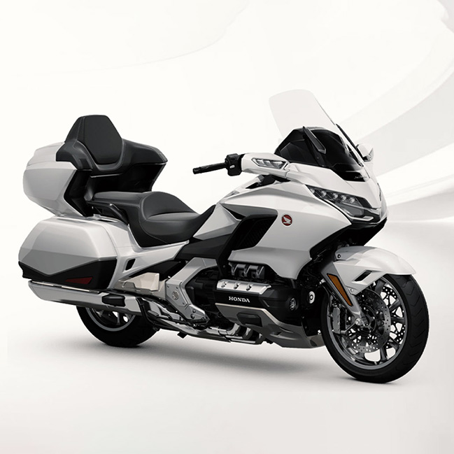 GOLD WING